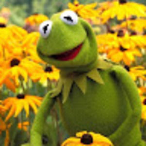 Meet your Posher, Lindsay